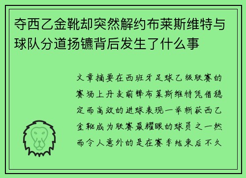 夺西乙金靴却突然解约布莱斯维特与球队分道扬镳背后发生了什么事